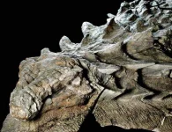 dinosaur.webp