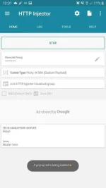 Screenshot_20191021-220125_HTTP Injector.webp