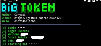 bigtoken.webp