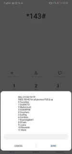 Screenshot_20191024_121800_com.android.phone.webp