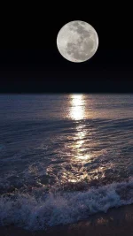 Night_Moon-25c416dc-0558-37d6-b09a-9cb5fc45ae1a.webp