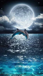 Dolphins_jumping-e6a026ae-f416-46a7-b0ae-f6f8f2e07247.webp
