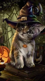 Cute_Halloween_Kitty-1a82bf48-ba33-4a4b-8fe5-5323d6c5b7c0.webp