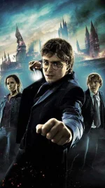 Harry_potter_with_stickers.webp