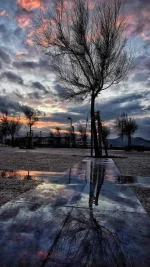 Autumn-2fe828a2-f7aa-46e4-bcdb-80f983ba8db6.webp