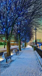 Snow_Landscape-3d61bd39-e351-3ddc-ba3a-8af78c970815.webp