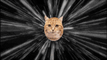 GIFs2019925113328.gif GIFs2019925113328.gif