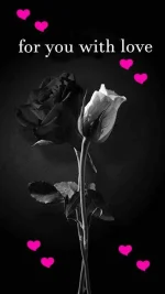 Love_Sayings-6229ed16-0aad-3620-8751-2f72e5785147.webp