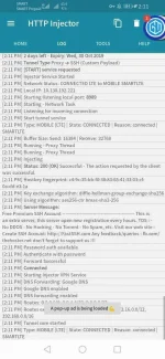 Screenshot_20191027_141148_com.evozi.injector.webp