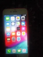 IMG_20191027_223037.webp