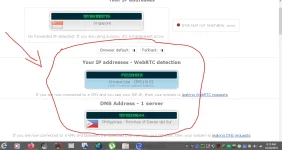 ip leak globe.webp
