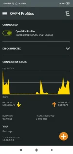 Screenshot_2019-10-29-17-49-59-398_net.openvpn.openvpn.webp