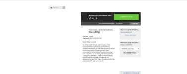 Untitled.webp