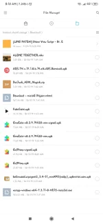 Screenshot_2019-10-31-08-10-31-477_com.mi.android.globalFileexplorer.webp