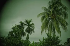 3DLUTmobile_20191030_173405.webp