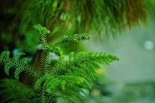 3DLUTmobile_20191030_172549.webp