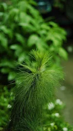 3DLUTmobile_20191030_170550.webp