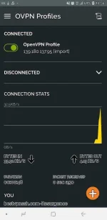 Screenshot_20191031-225438_OpenVPN Connect.webp