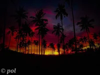 LRM_EXPORT_13541274457708_20191026_040502755.webp