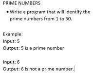 prime.webp