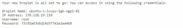 5.webp