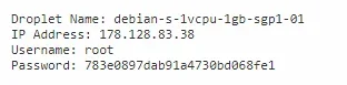 6.webp