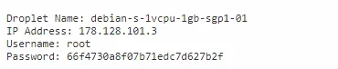 9.webp