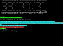 3.webp