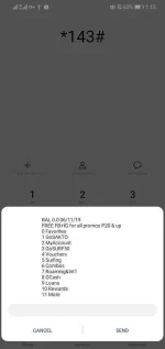 Screenshot_20191106_131500_com.android.phone.webp