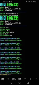 Screenshot_20191107_235204_com.termux.webp
