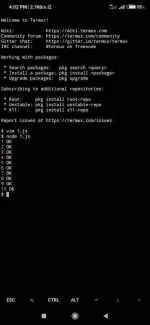 Screenshot_2019-11-13-16-02-24-695_com.termux.webp