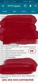 08.webp