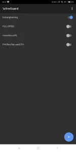 Screenshot_2019-11-14-20-47-39-327_com.wireguard.android.webp