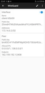 Screenshot_20191114-224553_WireGuard.webp