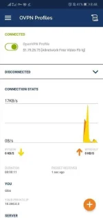 Screenshot_20191118_084819_net.openvpn.openvpn.webp