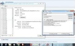 ds.webp