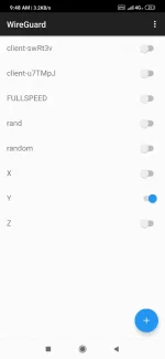 Screenshot_2019-11-21-09-48-39-604_com.wireguard.android.webp