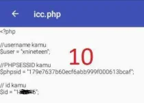 7.webp