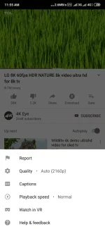 Screenshot_2019-11-21-11-55-22-803_com.vanced.android.YôùTùbé.webp
