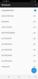 Screenshot_20191122-131008_WireGuard.webp