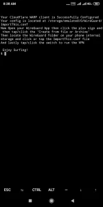 Screenshot_2019-11-23-08-38-18-961_com.termux.webp