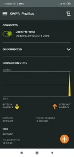 Screenshot_2019-11-23-11-26-05-863_net.openvpn.openvpn.webp