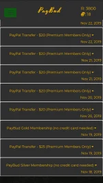 Screenshot_2019-11-23-17-18-20-217_app.paybud.com.webp