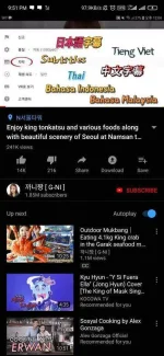 Screenshot_2019-11-23-21-51-11-929_com.vanced.android.YôùTùbé.webp