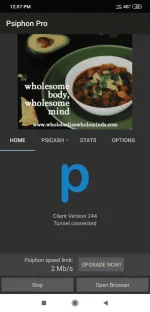 Screenshot_2019-11-24-12-07-45-694_com.psiphon3.subscription.webp