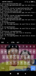 Screenshot_2019-11-24-16-00-59-227_com.termux.webp