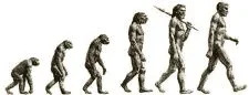 1574662001143.webp 1574662001143.webp