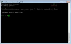 Capture.webp