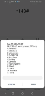 Screenshot_20191128_173420_com.android.phone.jpg