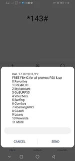 Screenshot_20191129_131351_com.android.phone.webp